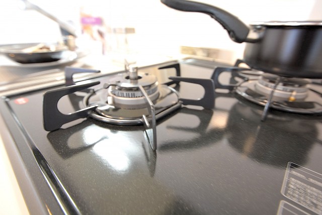 グリーンキャピタル神楽坂 DK