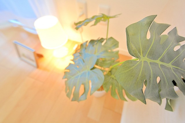 グリーンキャピタル神楽坂 洋室１