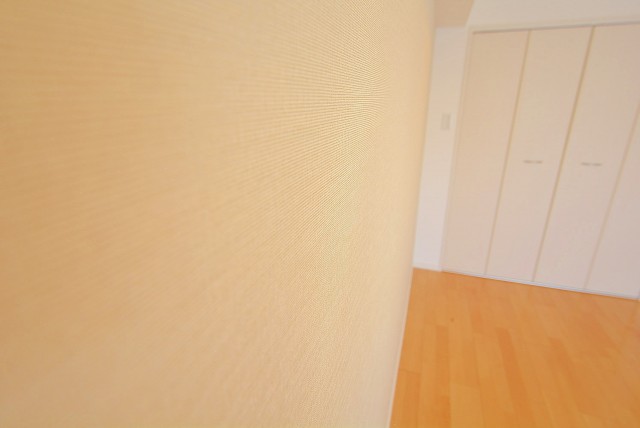 グリーンキャピタル神楽坂 洋室１