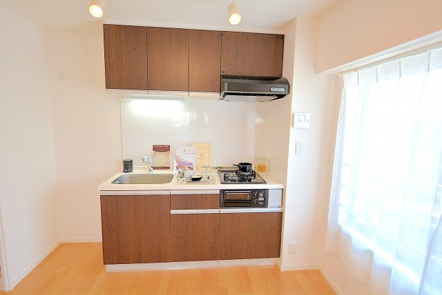 グリーンキャピタル神楽坂 DK