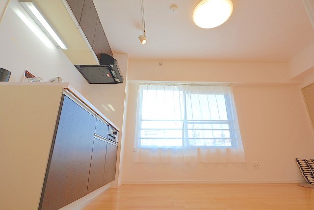 グリーンキャピタル神楽坂 DK