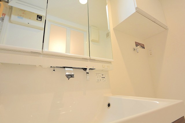 グリーンキャピタル神楽坂 洗面