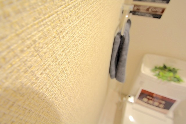 グリーンキャピタル神楽坂 トイレ