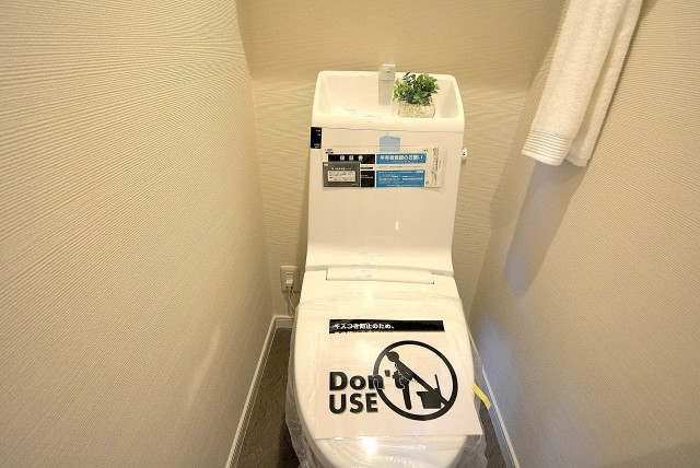 中銀若林マンシオン トイレ