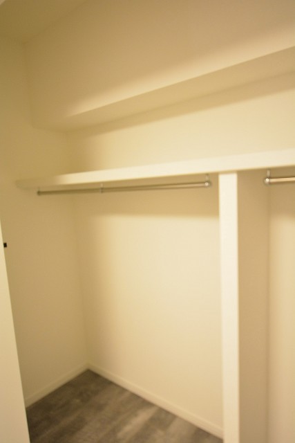 大橋（久保ビル）　洋室　収納