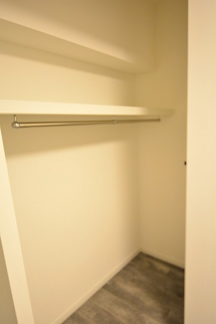 大橋（久保ビル）　洋室　収納