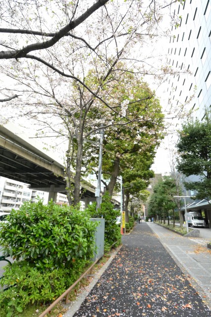 飯田橋ハイツ　周辺