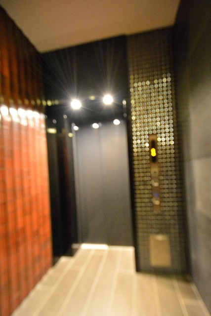 ウィルローズ築地　エレベーター