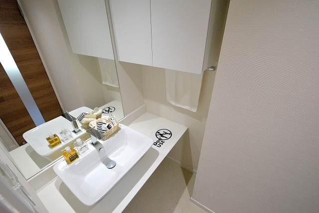 中銀若林マンシオン 洗面