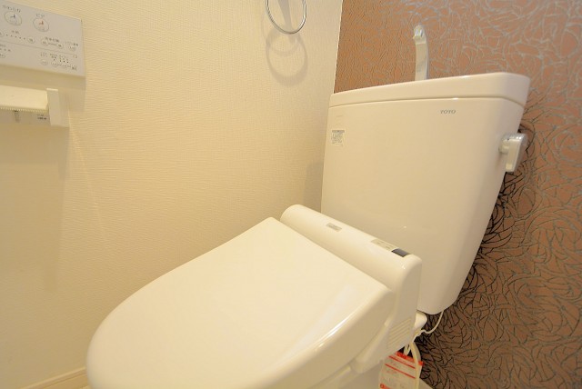 大橋団地 トイレ (4)