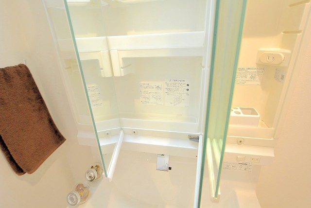 グリーンキャピタル神楽坂 洗面