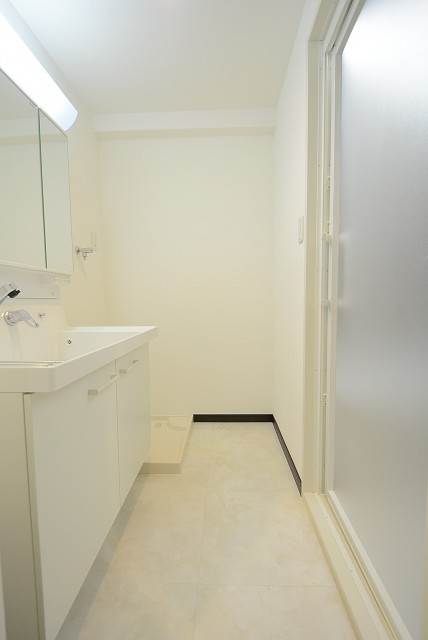 クレール島津山 洗面