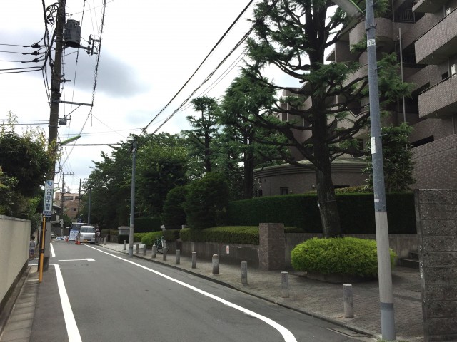 桜丘フラット　前面道路