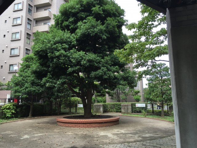 桜丘フラット　敷地内