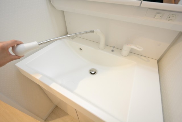 パストラルハイム西蒲田 洗面