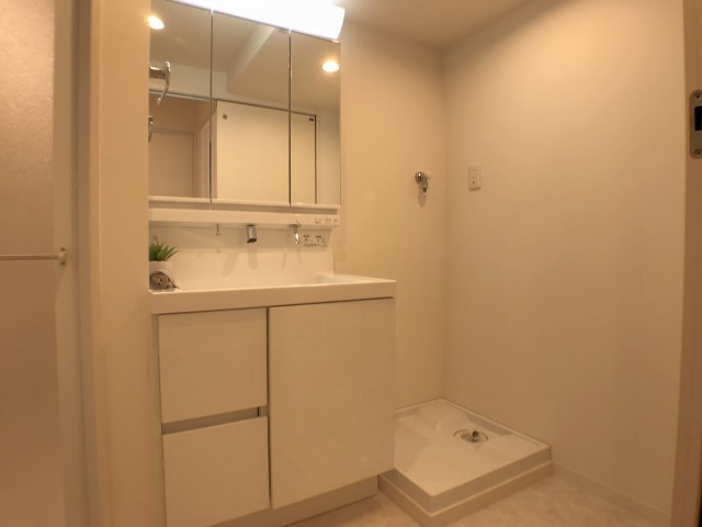 東中野ハイム 洗面