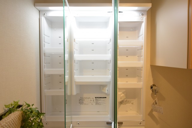 ネオコーポ芦花公園 洗面室