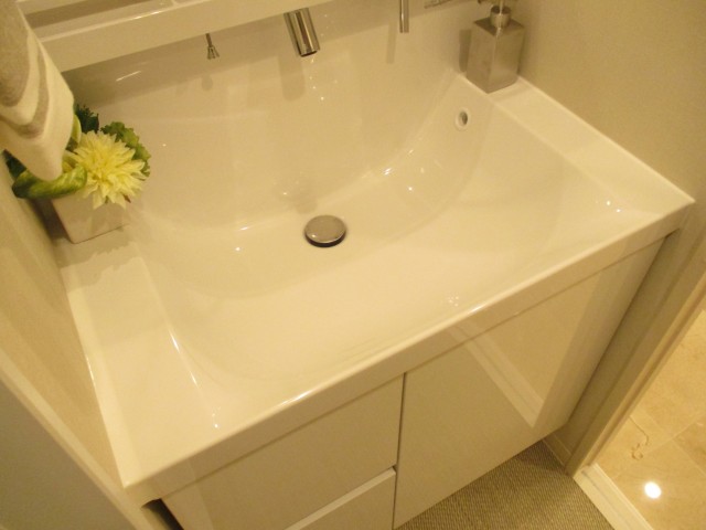 モンテベルゲ六義園　洗面 (4)