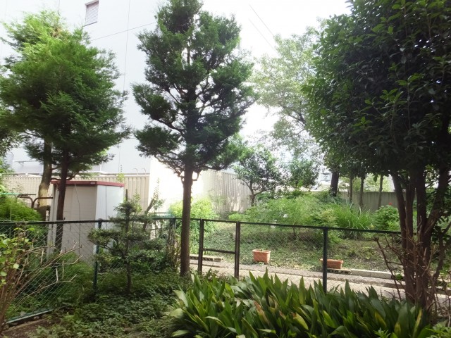 シャンボール第二都立大お庭