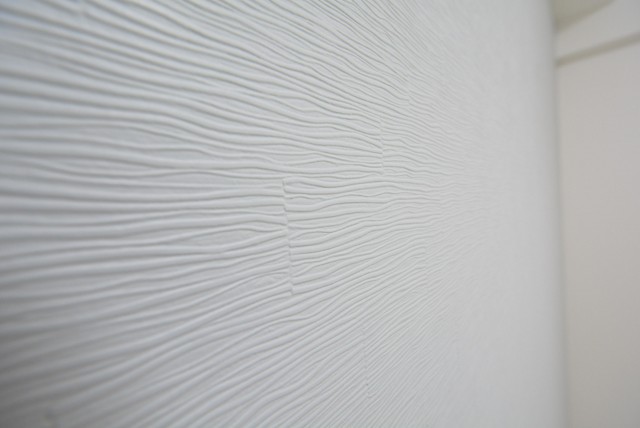 ビュラ田園調布307　壁紙