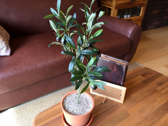 瀬田サンケイハウス　リビング