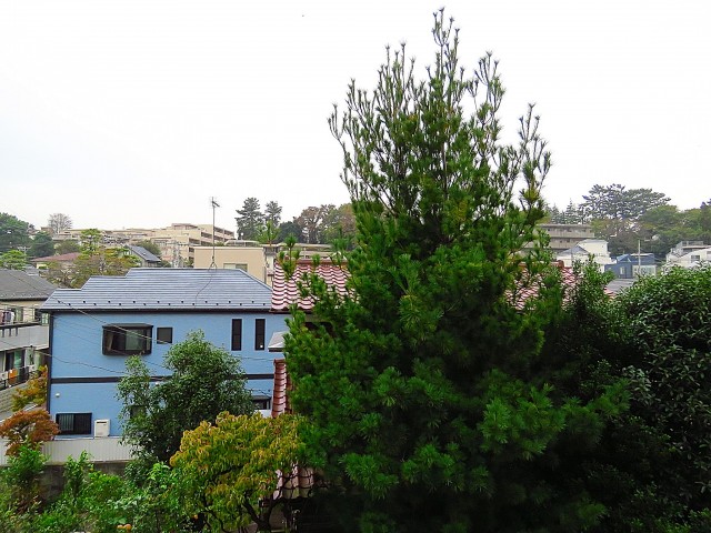 マイキャッスル二子玉川園　キッチン側バルコニー眺望