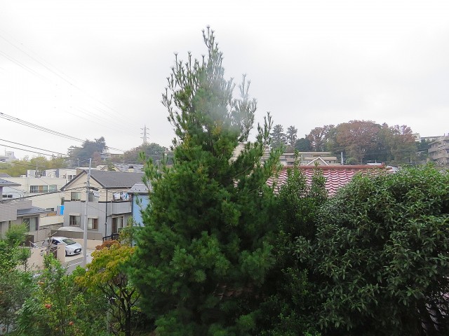 マイキャッスル二子玉川園　洋室約4.4帖眺望