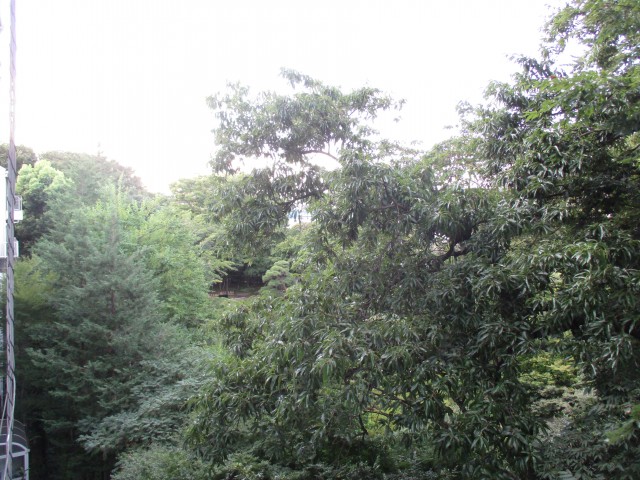 池田山ロイヤルマンション眺望