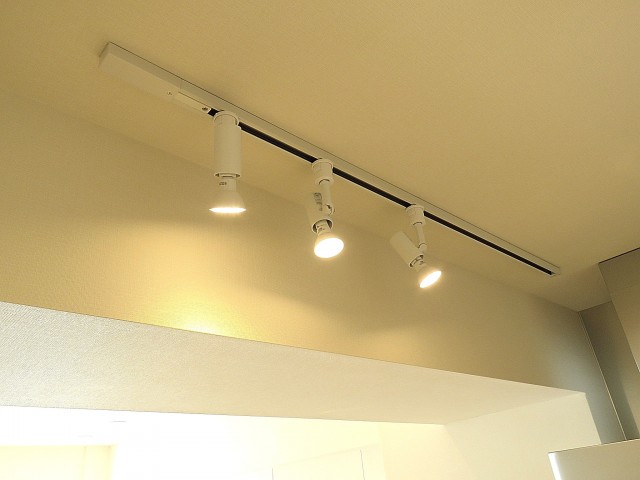 いづみハイツ芦花公園　照明