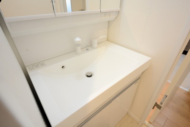 パストラルハイム西蒲田 洗面