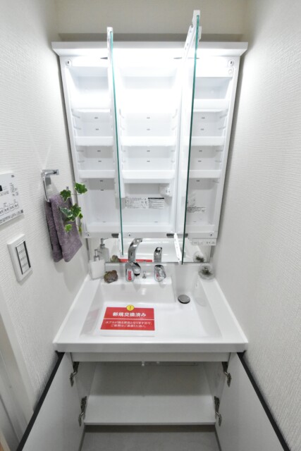 五反田ダイヤモンドマンション 洗面室