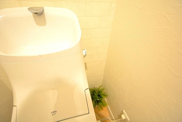 マンション目黒苑 トイレ (4)