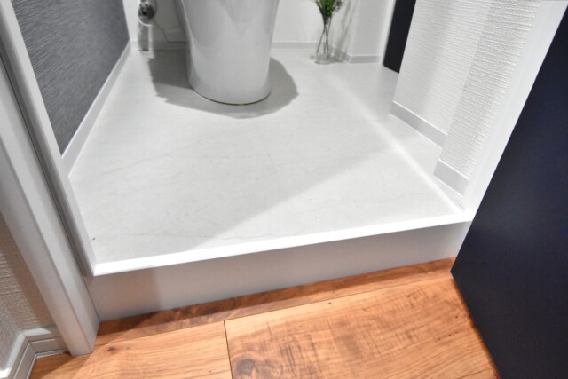 五反田ダイヤモンドマンション トイレ