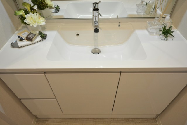 ラグナタワー 洗面室