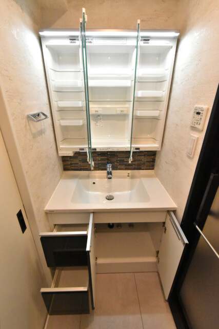 ヴェルドミール柳橋 洗面室