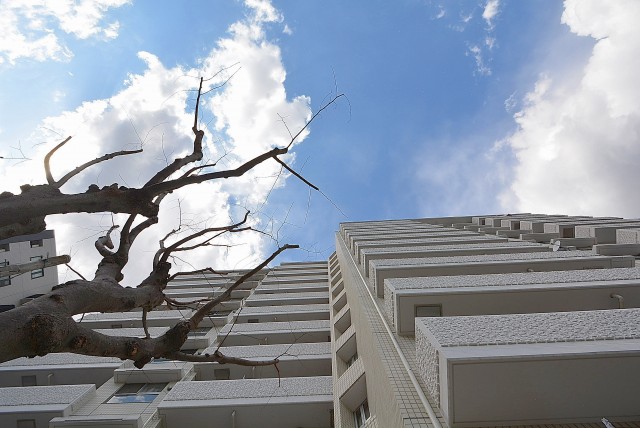 グランドメゾン野沢3F 外観 (4)