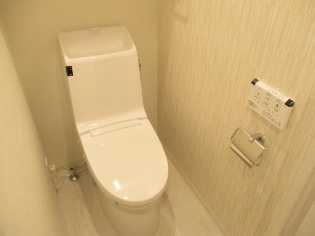 チサンマンション三軒茶屋第2 (35)トイレ