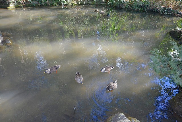 フラット田園調布806号室 周辺環境 (2)