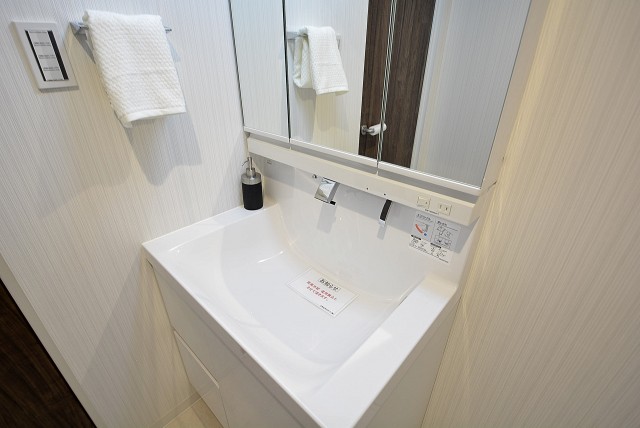 グランドメゾン野沢12F 洗面