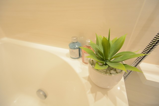 シャンボール小石川 バス