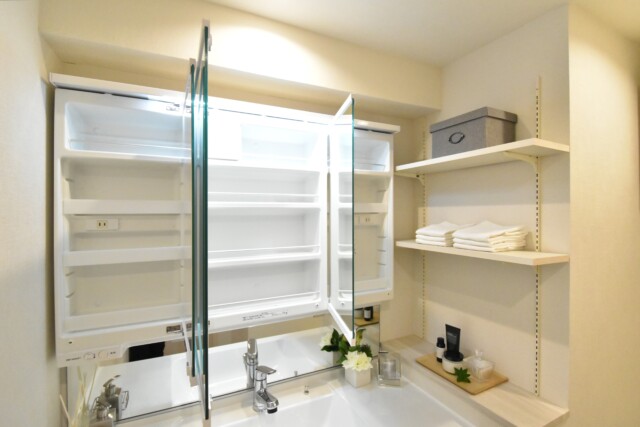 メゾン小石川 洗面室