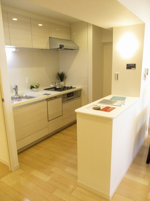 日商岩井碑文谷マンション キッチン (2)