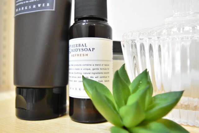 メゾン小石川 洗面室