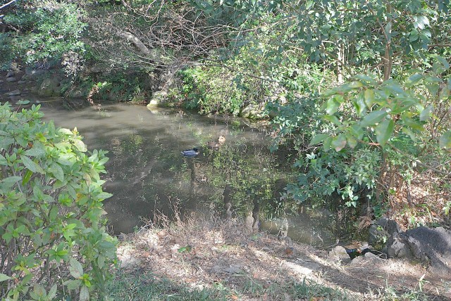 フラット田園調布806号室 周辺環境 (13)