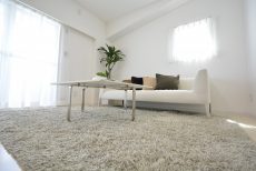 グランドメゾン野沢12F LD