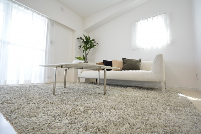 グランドメゾン野沢12F LD