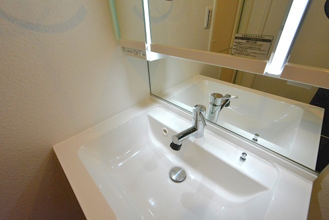 ライオンズマンション馬事公苑第2　洗面