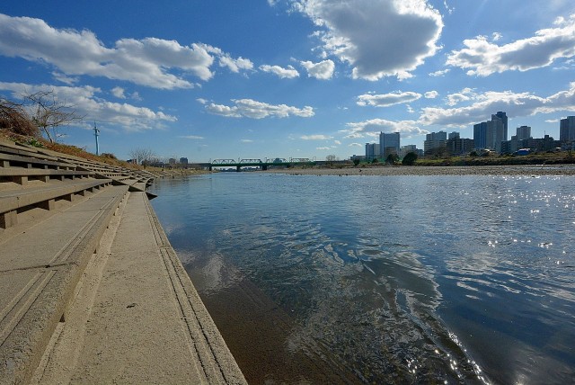 フラット田園調布806号室 周辺環境 (6)