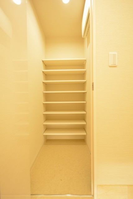 ラグナタワー 玄関