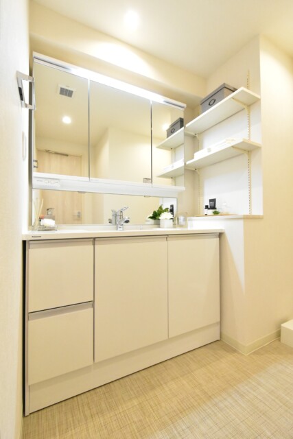 メゾン小石川 洗面室